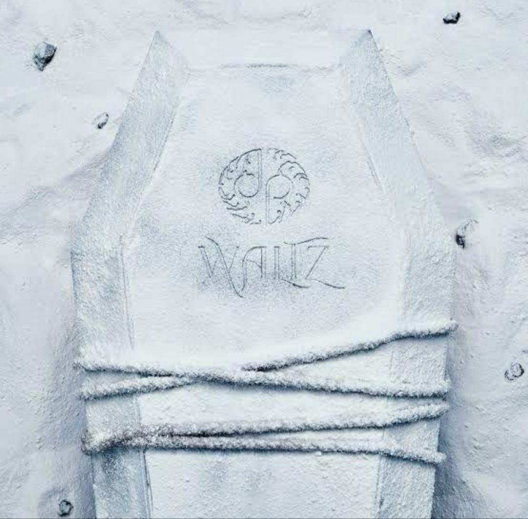 龍宮城 / WALTZ (完全生産限定盤/白盤) 未開封