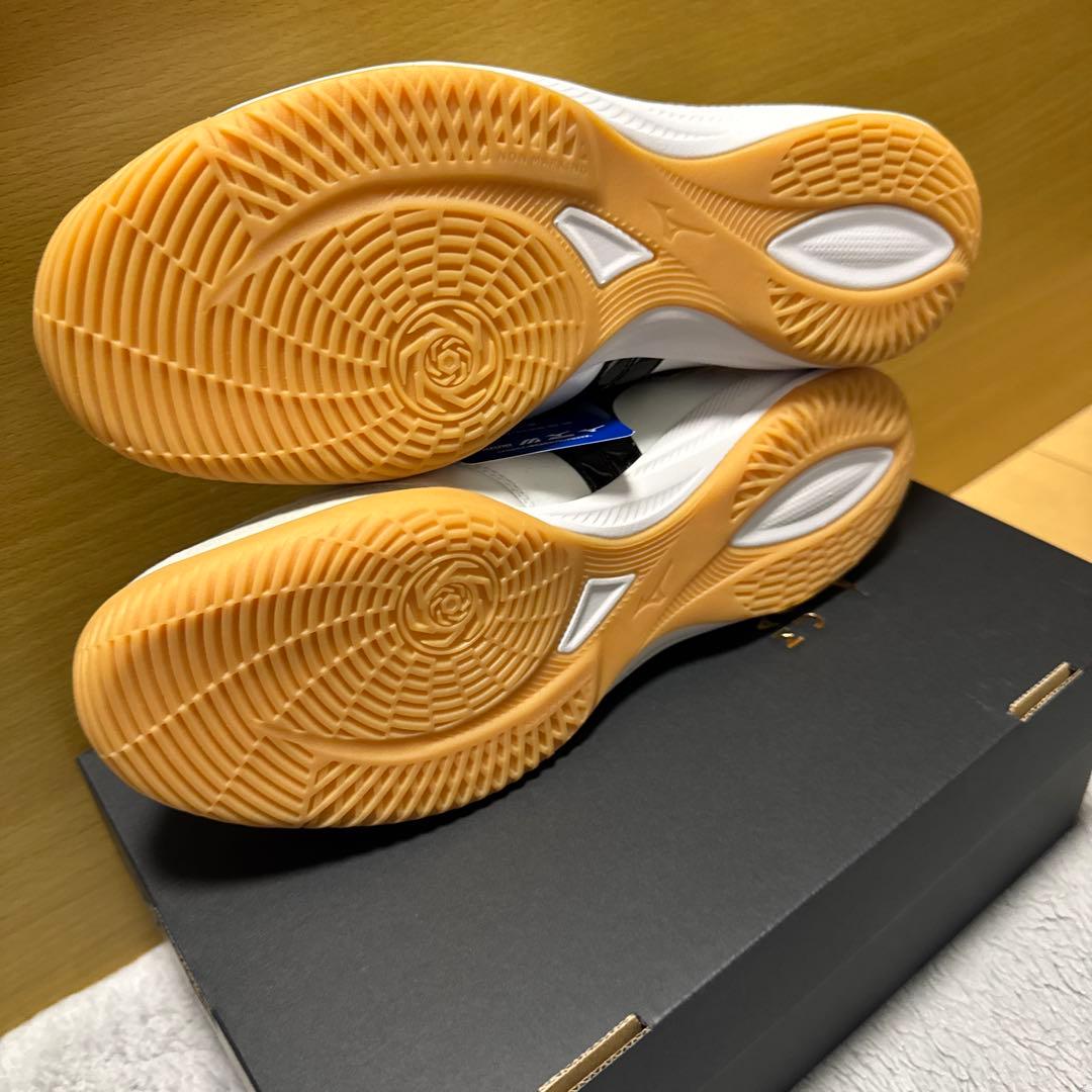 モレリア サラ JAPAN IN