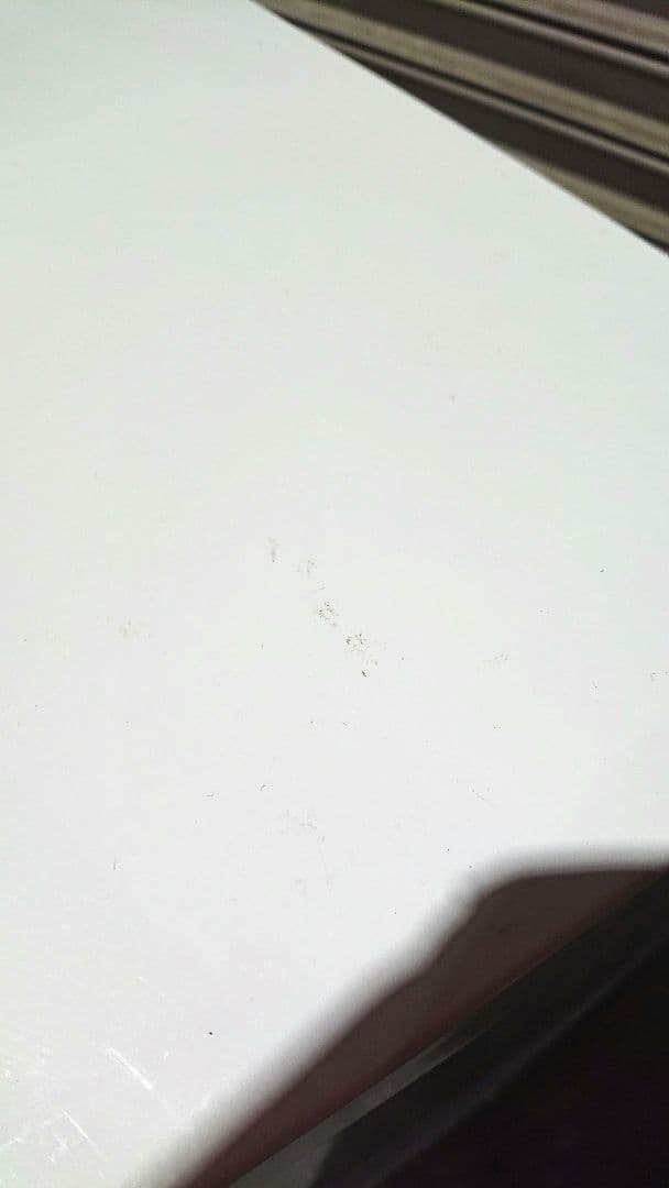 ダストボックス イタリア アイアン DOTTUS 4杯 ドッタス ゴミ箱 白