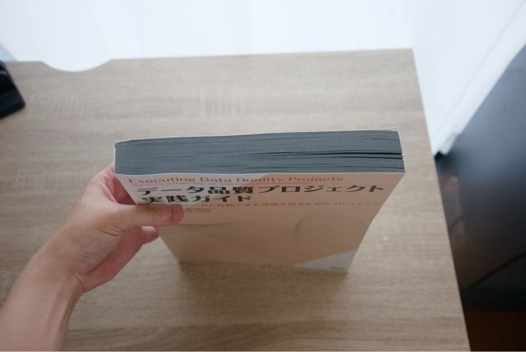 美品・未使用　データ品質プロジェクト実践ガイド