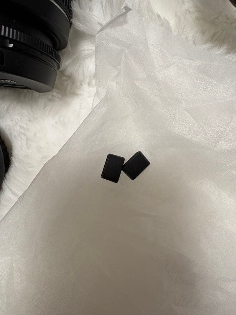 辻ちゃん　Canon EOS KISS X90 一眼レフ