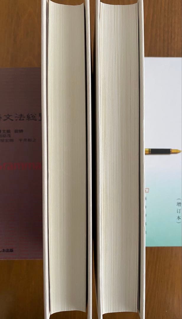 『現代中国語文法総覧』 上下巻セット くろしお出版 相原茂監訳 中国語 参考書