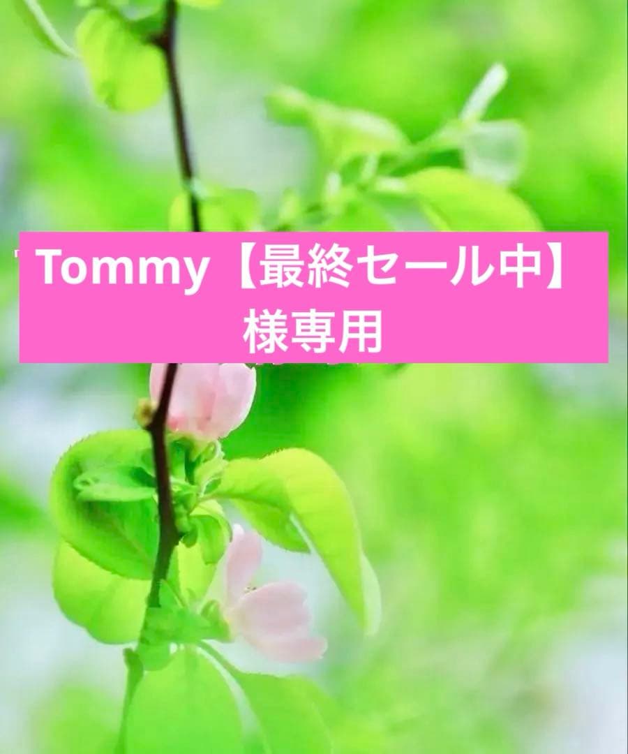 【最終セール中】ページ