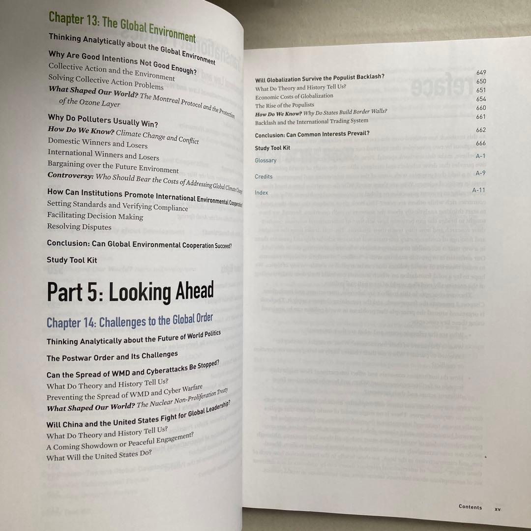 World Politics 5th edition 洋書　英語　匿名配送