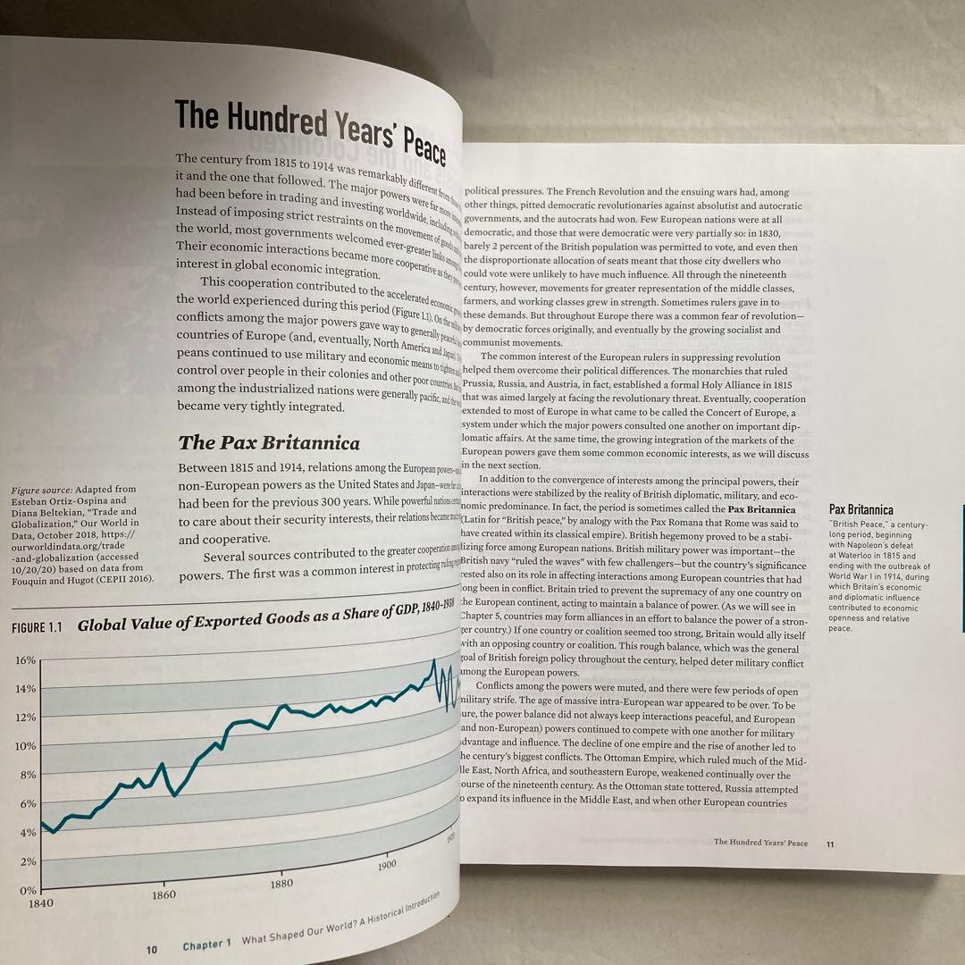 World Politics 5th edition 洋書　英語　匿名配送