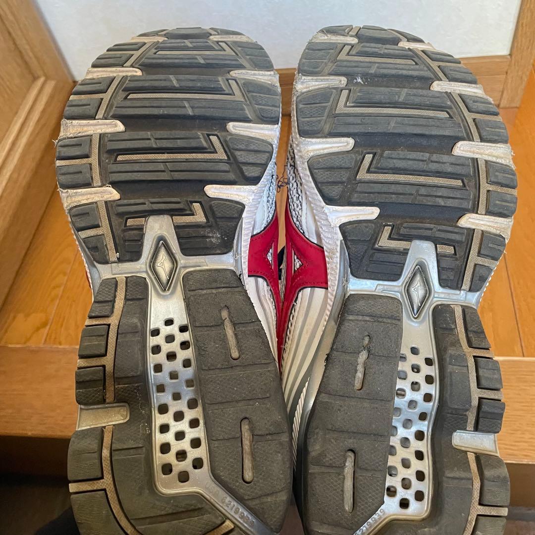 Mizuno pro 限定シューズ ミズノプロ28.0