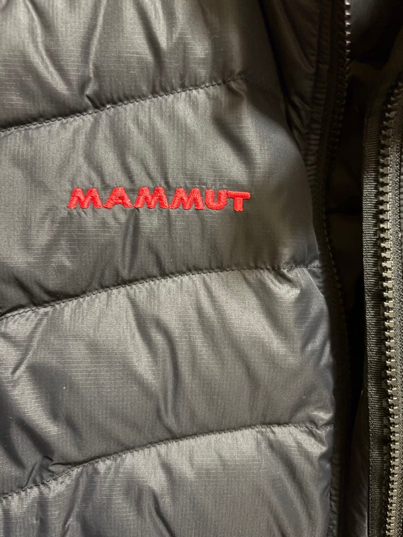 MAMMUT FREEFLIGHT Down Vest メンズM