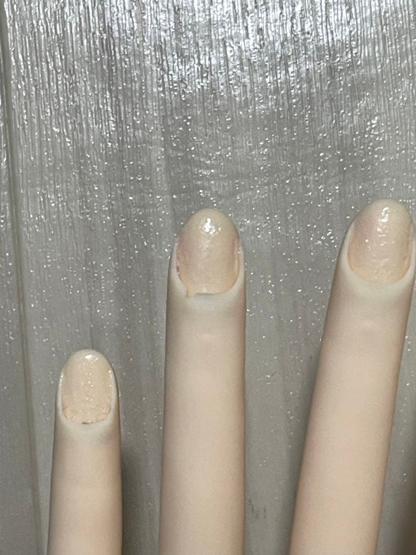 【最終値下げ】JNEC 認定モデルハンド(箱付き)