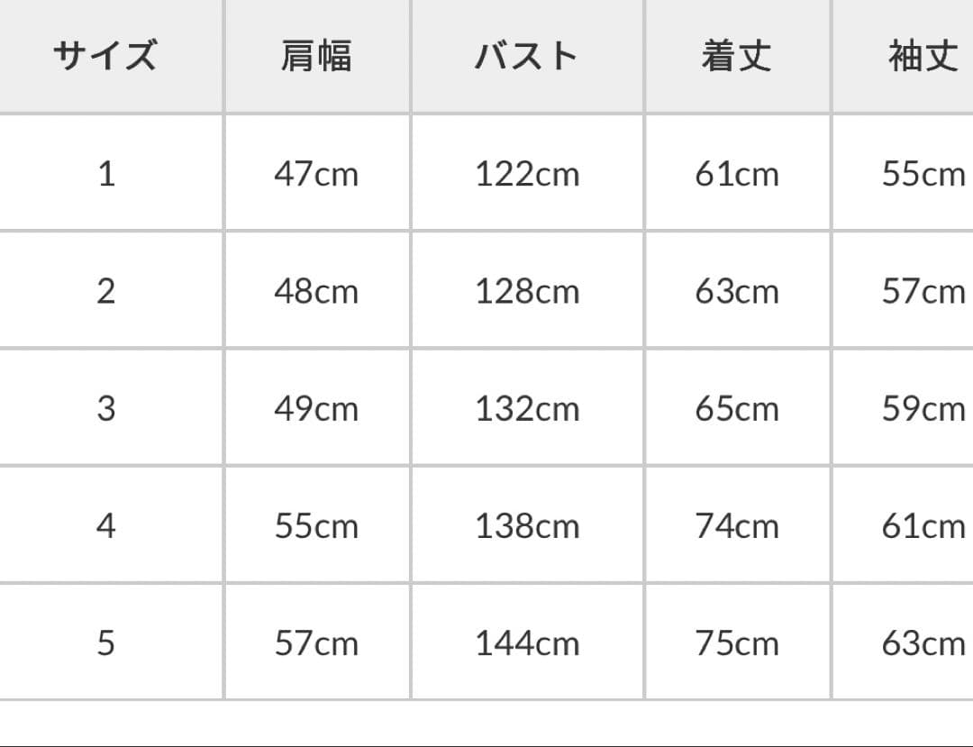 【HYKE】TYPE L-2A❗️新品未使用品‼️ 期間限定45000円→40000