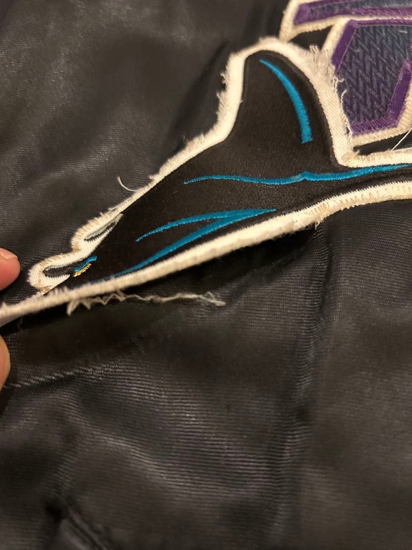 デビルレイズ　スタジャン　Lサイズ