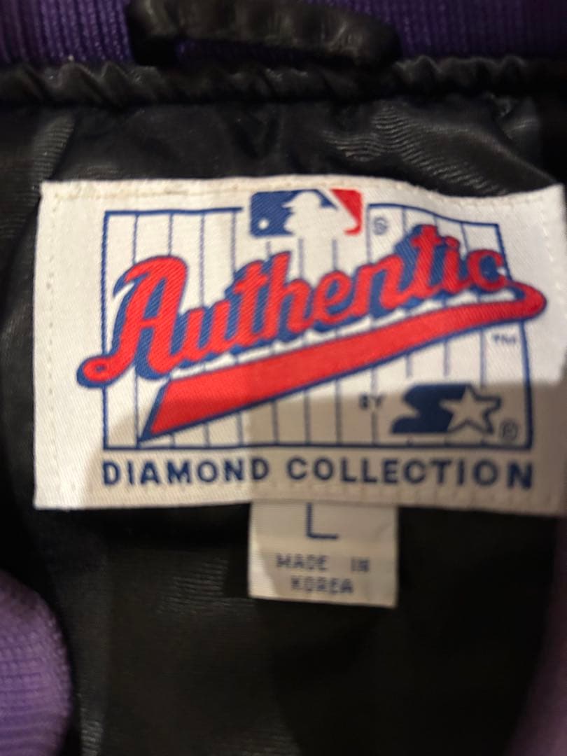 デビルレイズ　スタジャン　Lサイズ