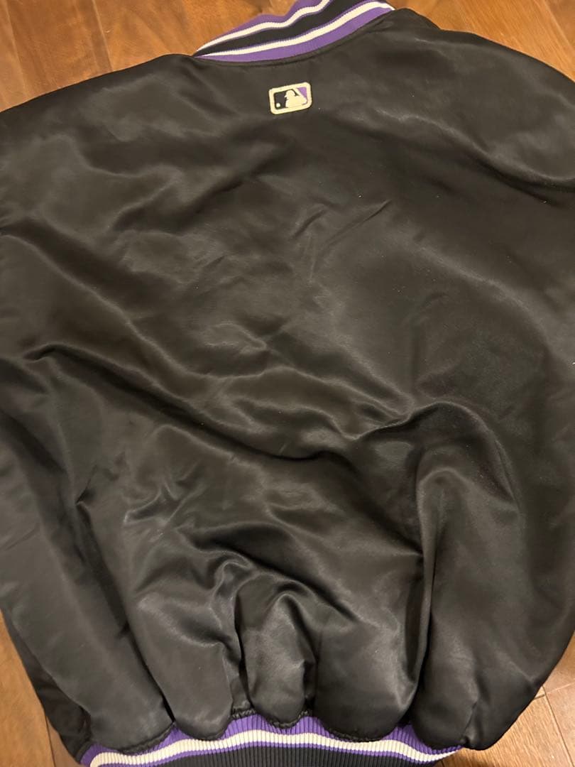 デビルレイズ　スタジャン　Lサイズ