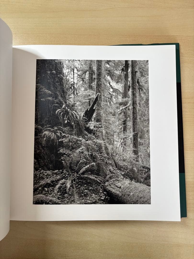 アート・デザイン・音楽 HIROTAKA KASUGA EXISTENCE and TIME