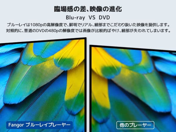 Dear.。o(♡︎)FANGORブルーレイプレイヤー11.4 インチ美品