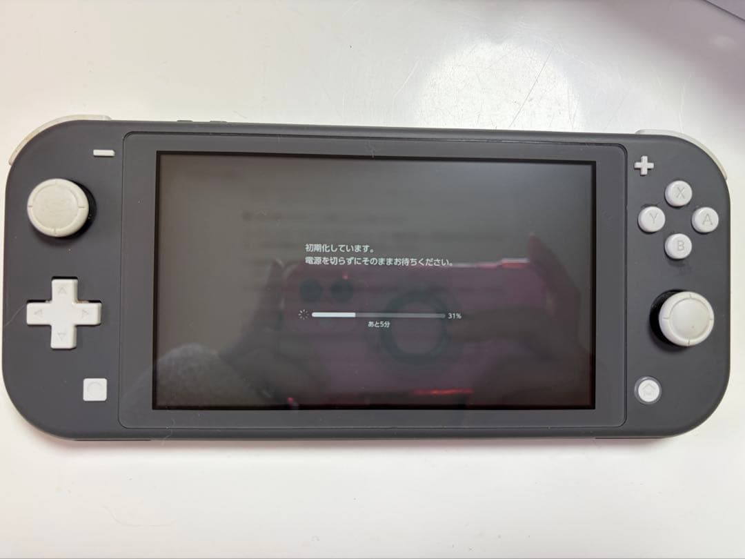 Switch Lite グレー ニンテンドースイッチライト