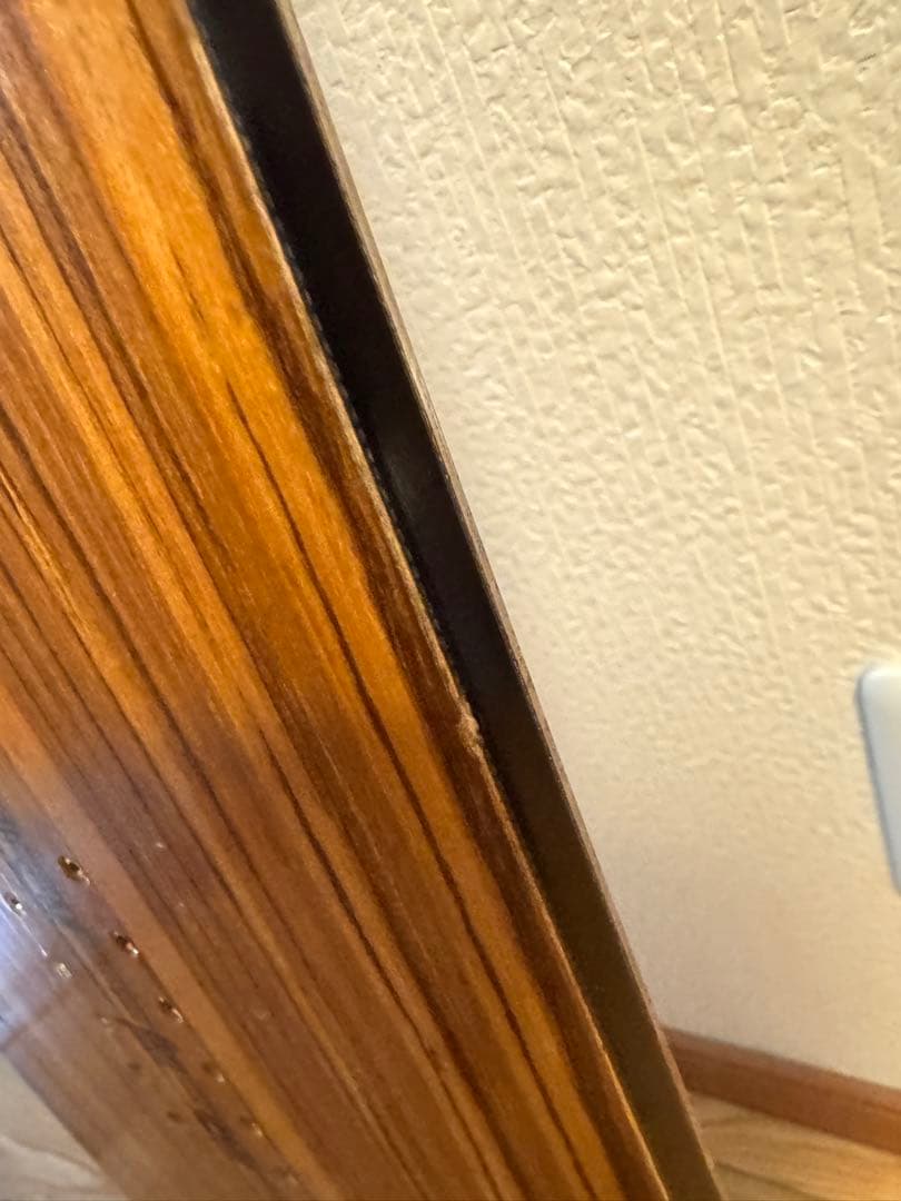 hovercraftホバークラフトfareastlimitedファーイースリミテ