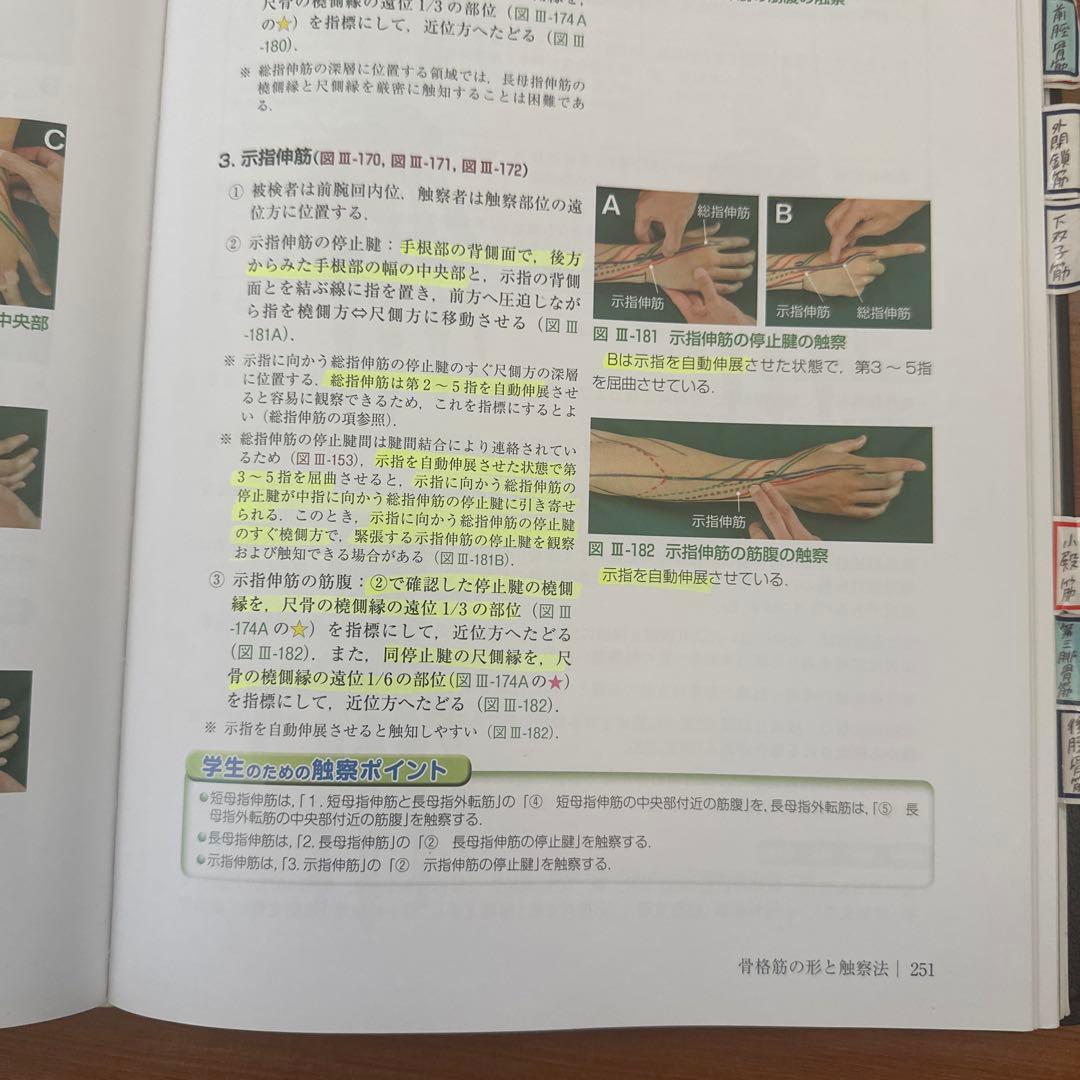 改定第二版 骨格筋の形と触察法