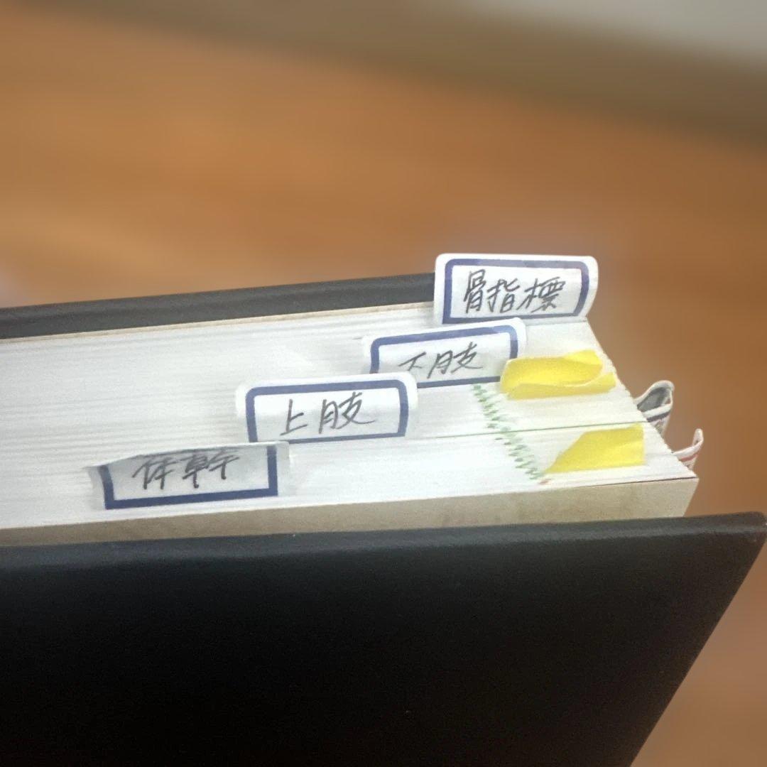 改定第二版 骨格筋の形と触察法