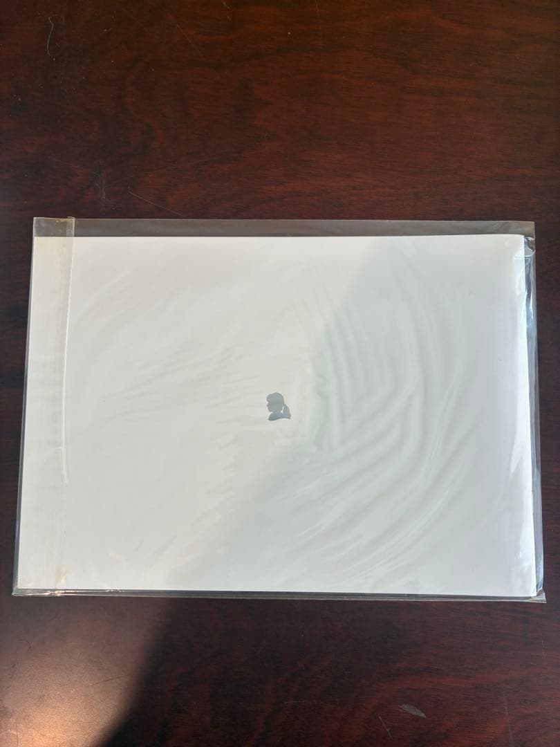 ZARD 坂井泉水 雑誌 写真集 まとめ