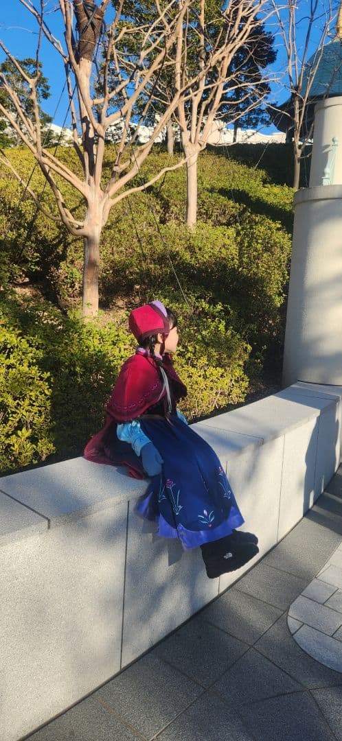 雪山 アナ アナ雪 コスプレ Ｄハロ 子供服 仮装 ドレス