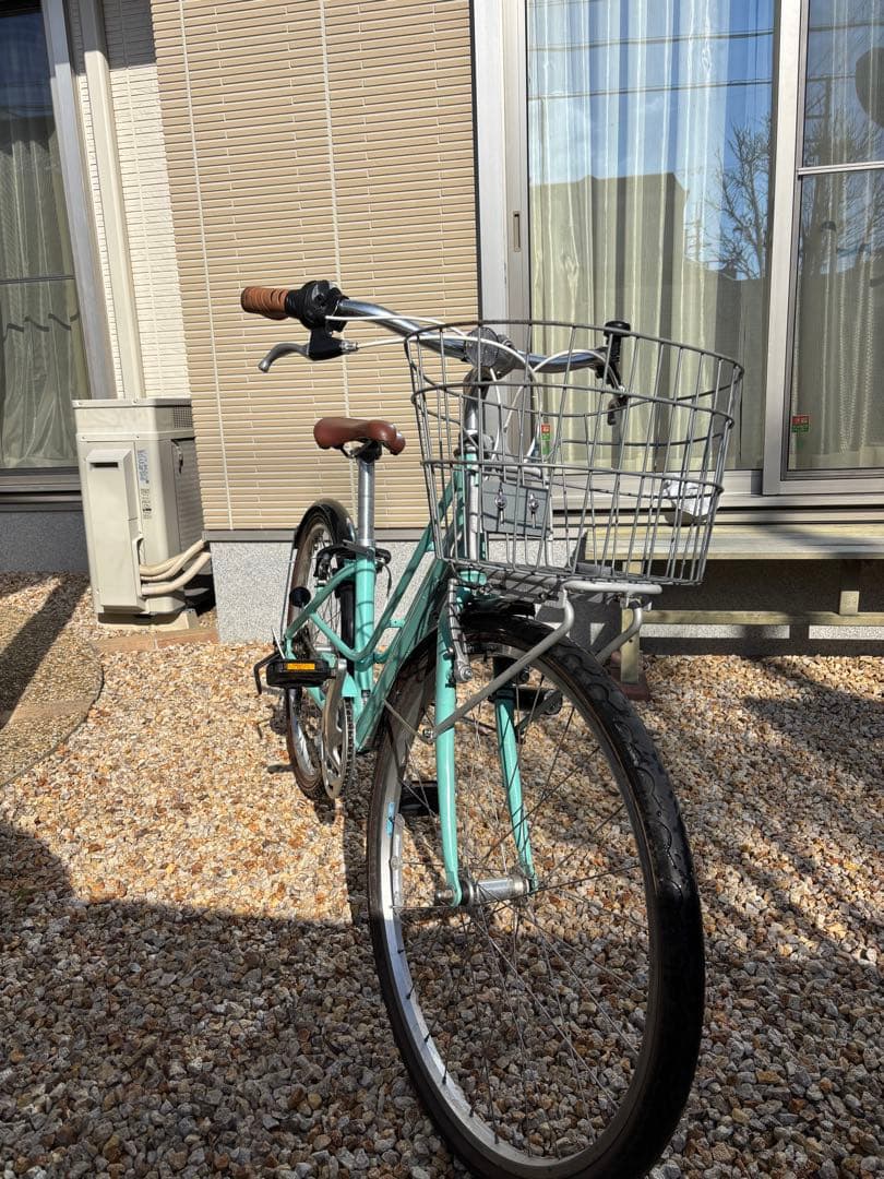 【ヴィンテージ】【直接取引限定】KhodaaBloom enaf26