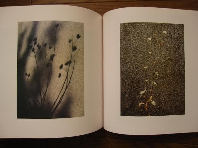 朝開暮落 加藤恭平 遺作集　林忠彦 ノスタルジア