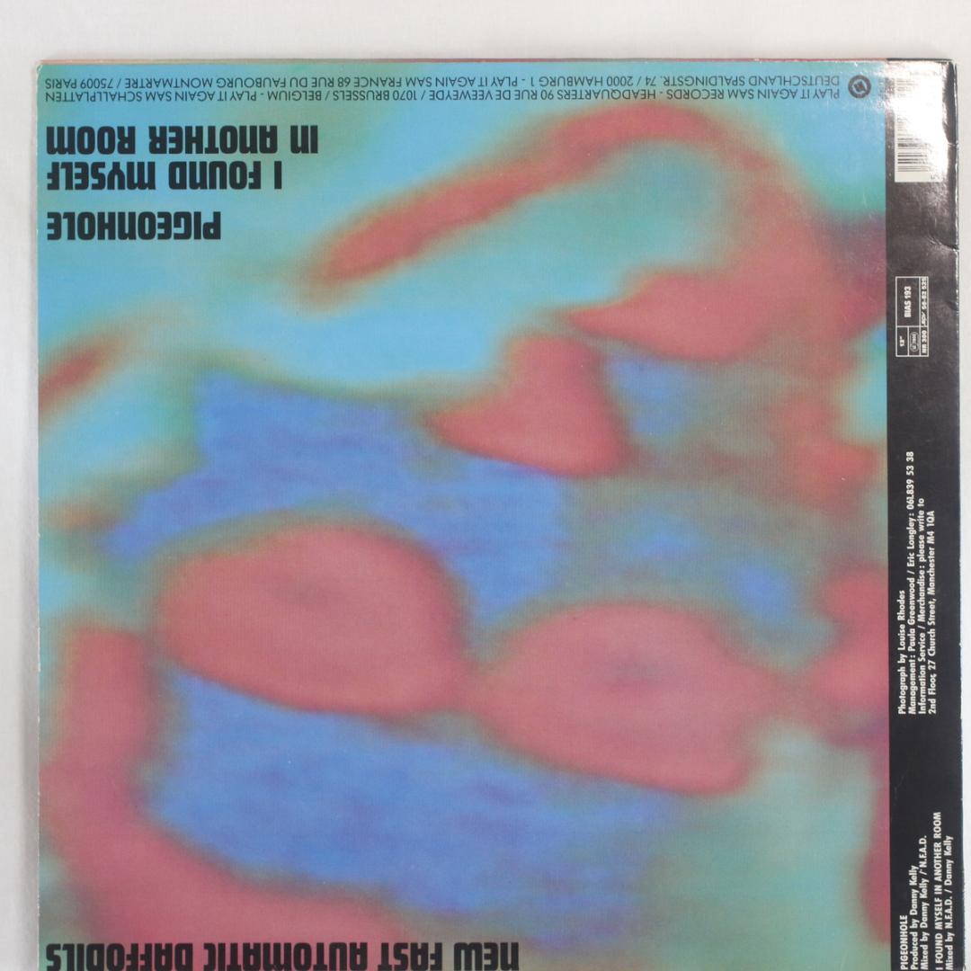 GetBetter New Fast Automatic Daffodils 蘭