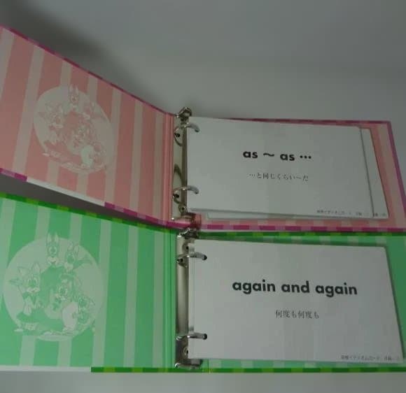 Picture Card & Idiom Card セット　お子様向け英語教材