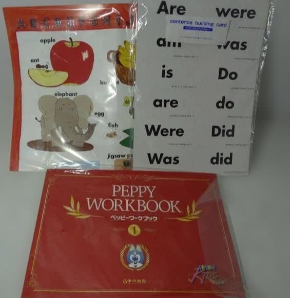 Picture Card & Idiom Card セット　お子様向け英語教材