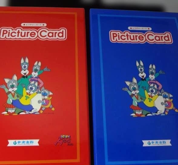 Picture Card & Idiom Card セット　お子様向け英語教材