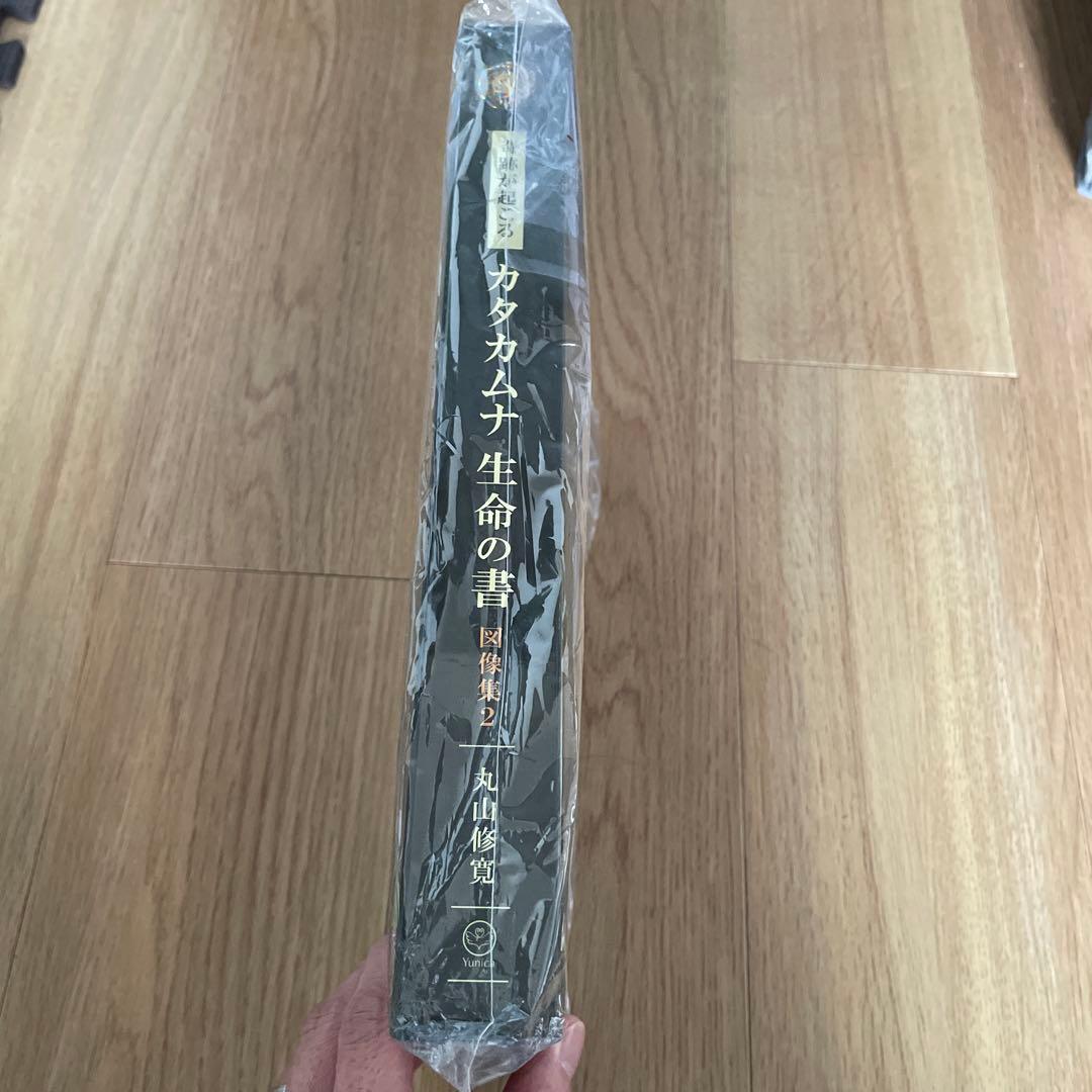 カタカムナ生命の書 図像集2