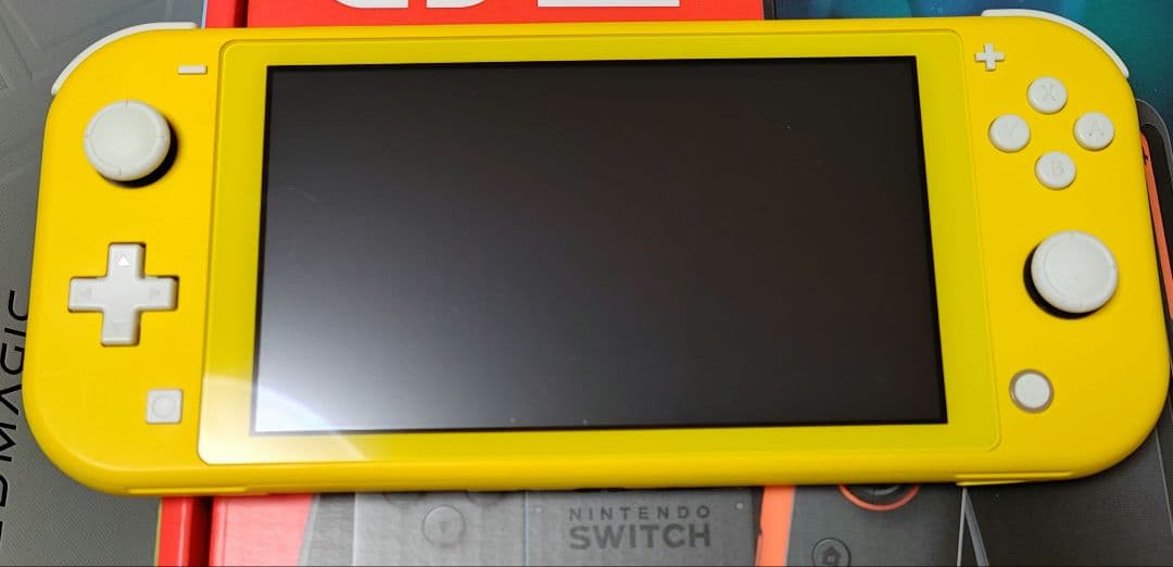 Switchライト 本体のみ