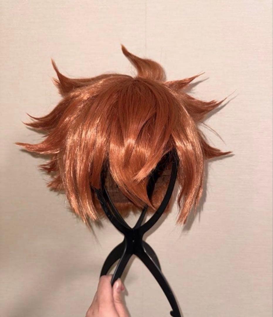 きぬ エース デュース ウィッグ