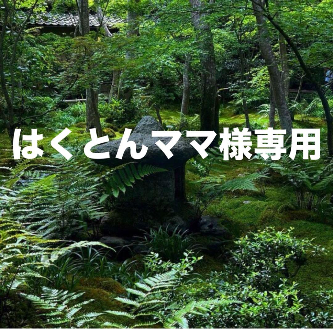 はくとんママ 美濃焼　錆かいらぎリム6.5寸深皿