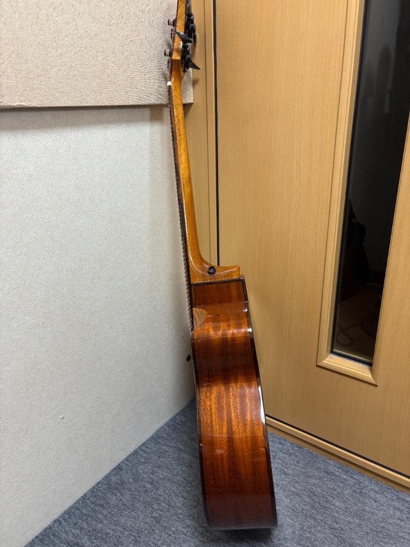 アヌエヌエ(aNueNue) aNN-MBS14E ミニ・アコースティックベース