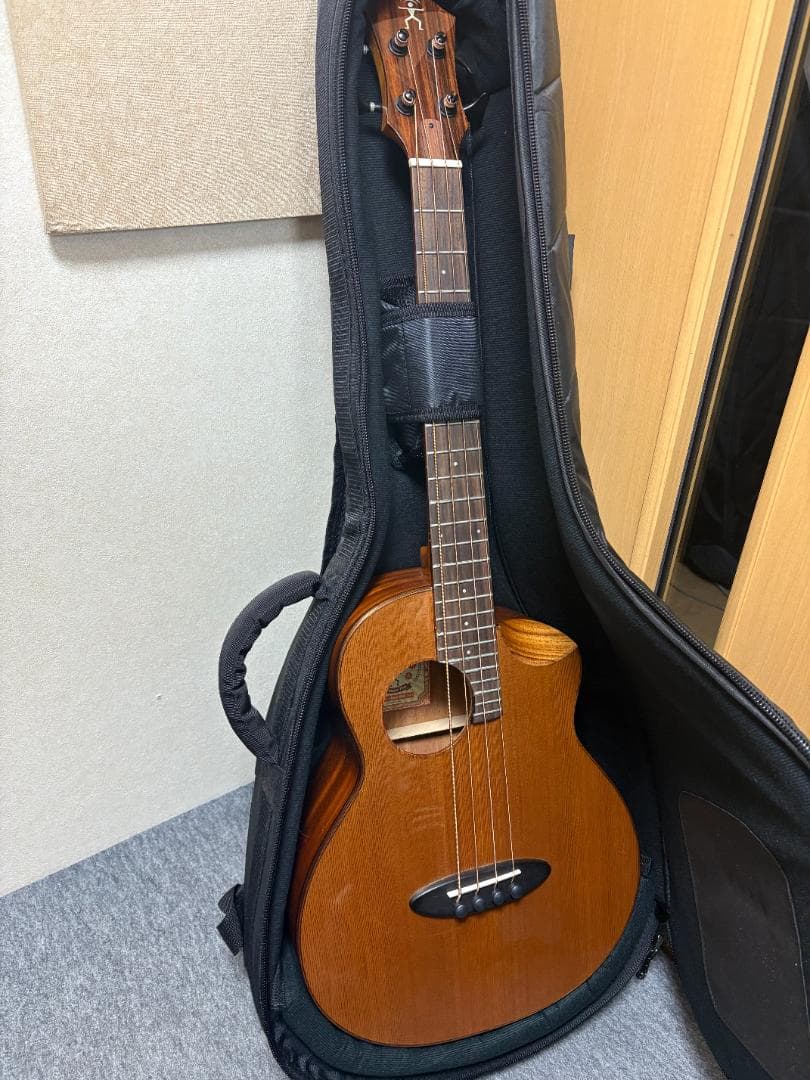 アヌエヌエ(aNueNue) aNN-MBS14E ミニ・アコースティックベース