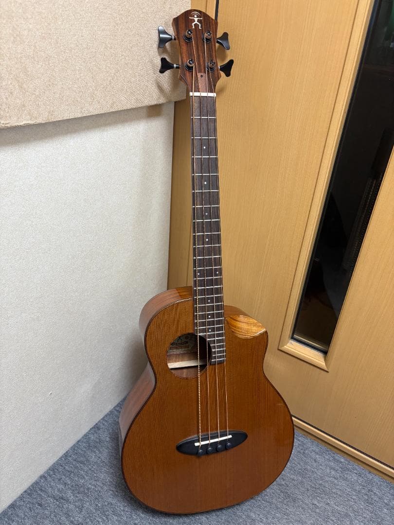 アヌエヌエ(aNueNue) aNN-MBS14E ミニ・アコースティックベース