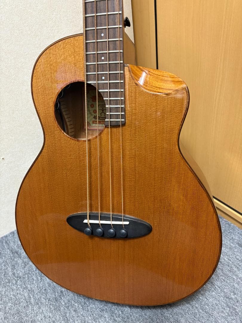 アヌエヌエ(aNueNue) aNN-MBS14E ミニ・アコースティックベース