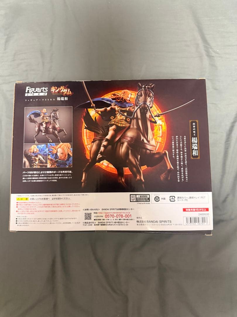 楊端和フィギュア