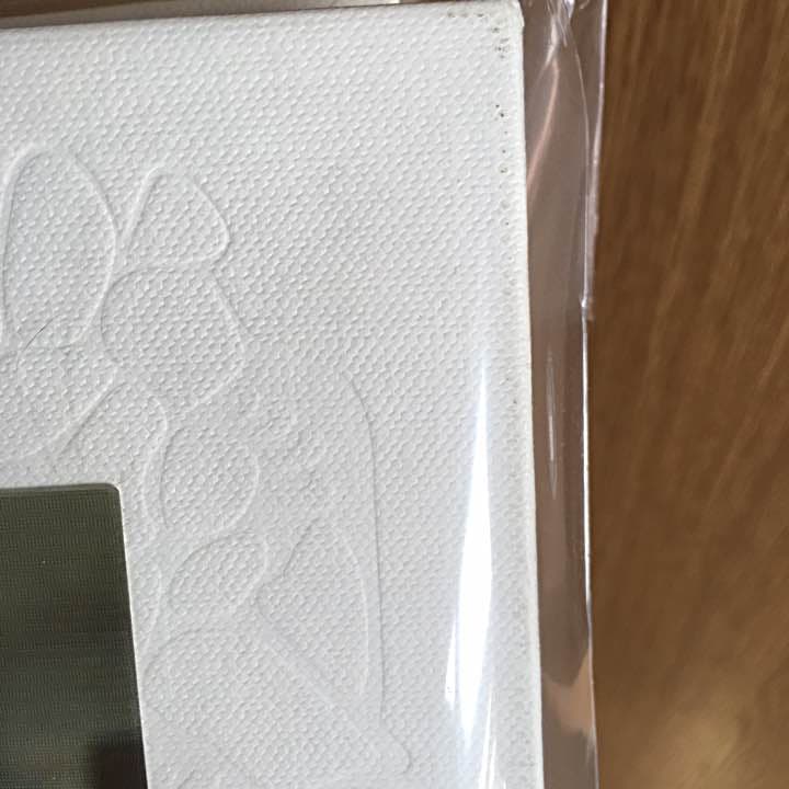 理恵様確認用 イジュンギ写真集