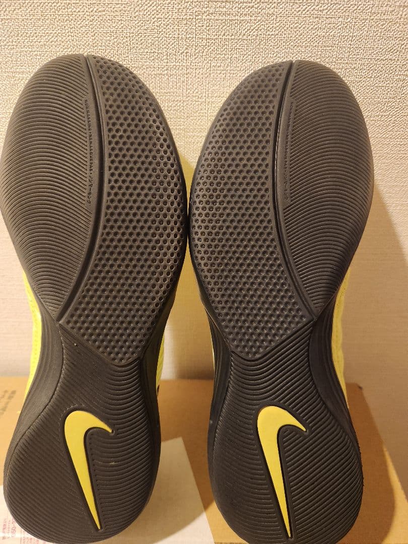 【貴重】Nike／ルナガト2