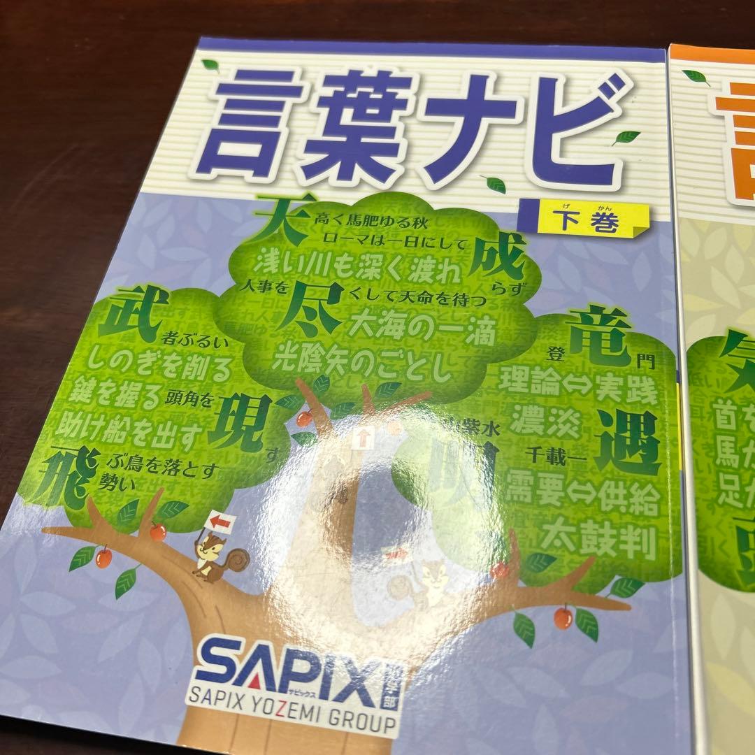 ⑲ A SAPIX ほぼ未使用　サピックス　言葉ナビ　上巻　下巻　重要教材