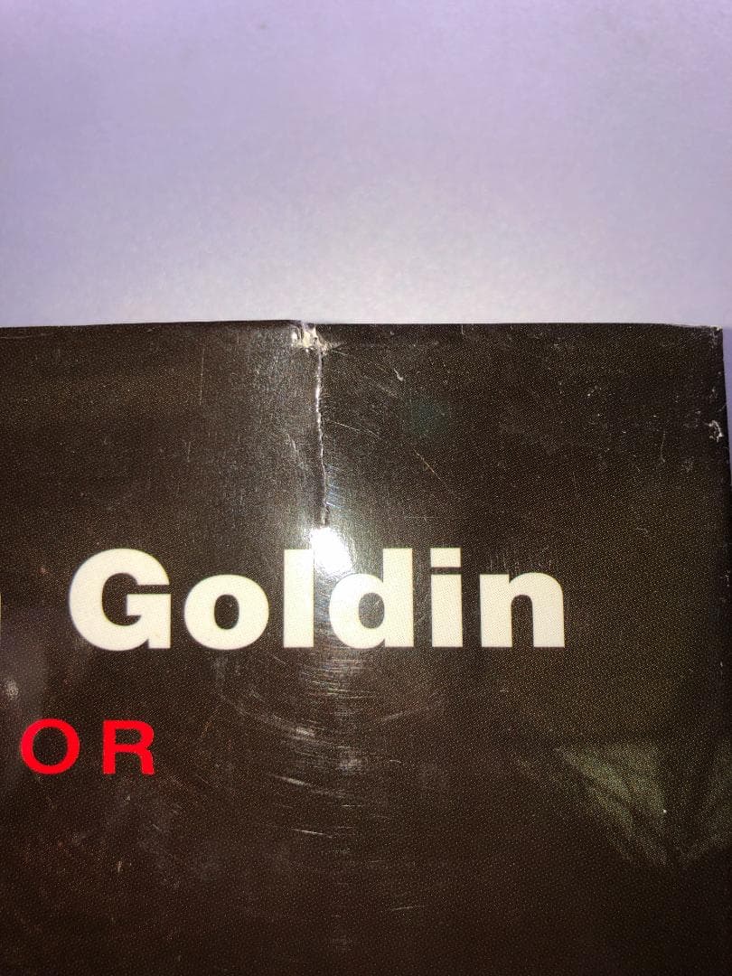 アート・デザイン・音楽 Nan Goldin I'll Be Your Mirror