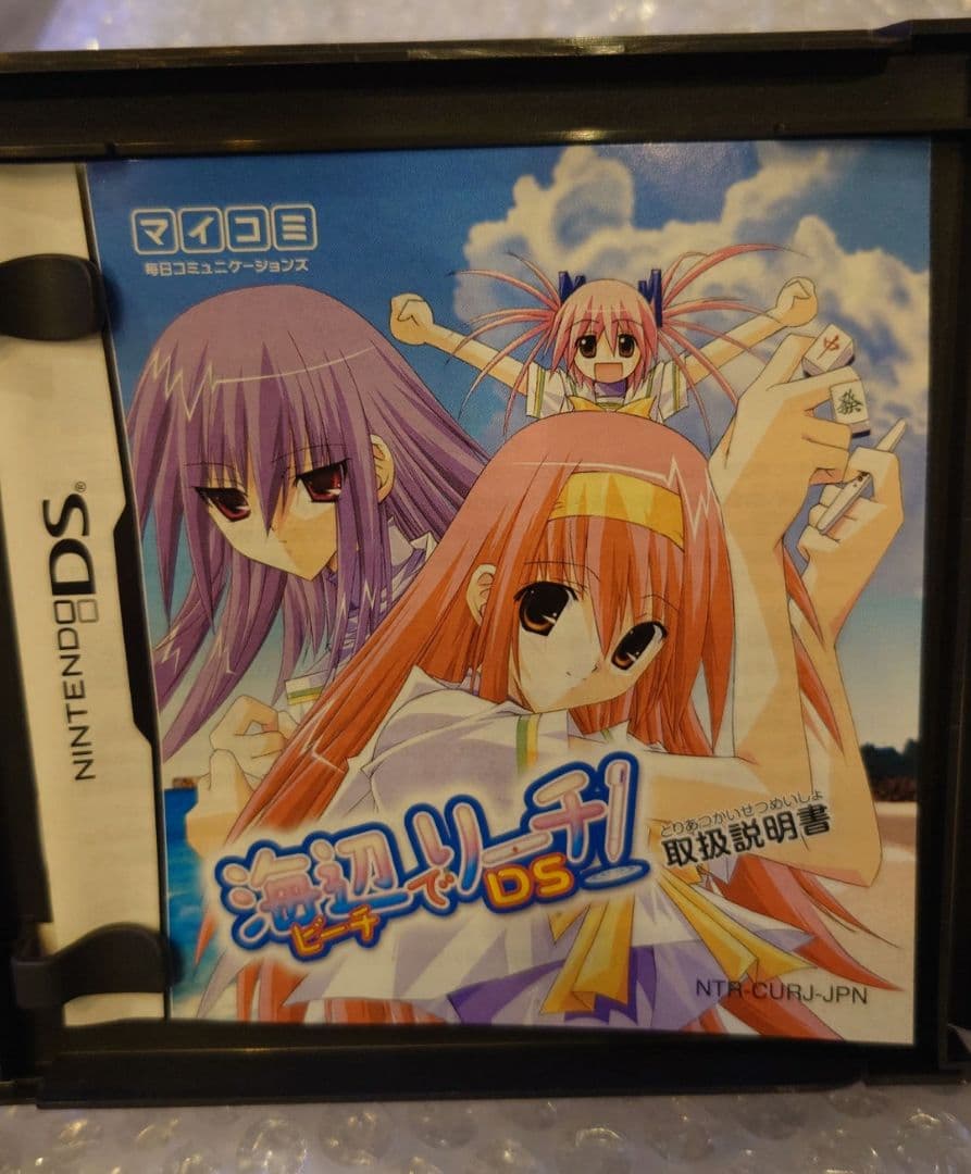 Nintendo 海辺でリーチ! DS版