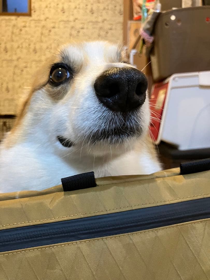 POMSAMハンドメイドフレームバッグ