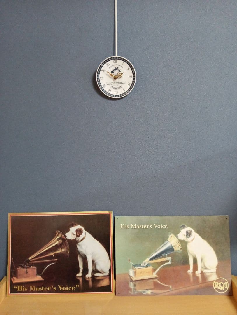 ビクター ニッパー犬 ニッパー　特大44cm～ 7匹 手渡し希望 千葉県習志野市