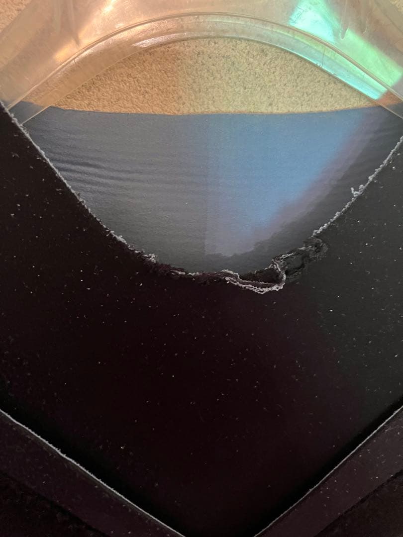 ダブ　dove DOVE シーガル ウェットスーツ