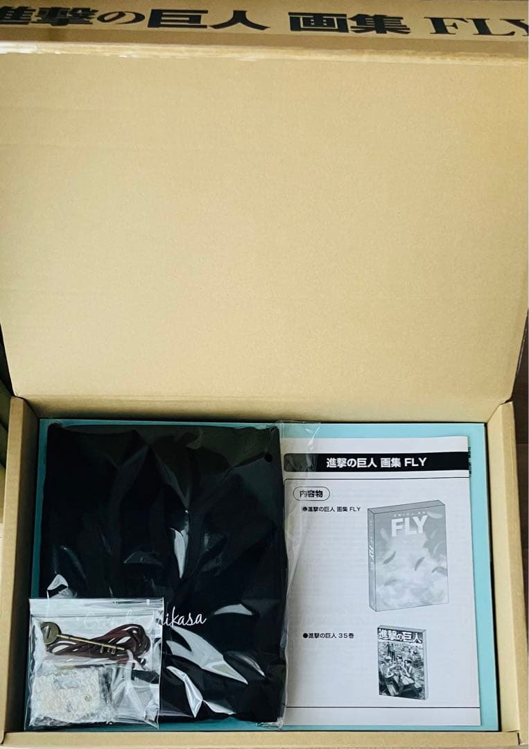 進撃の巨人 FLY 諫山創 画集（35巻欠品）