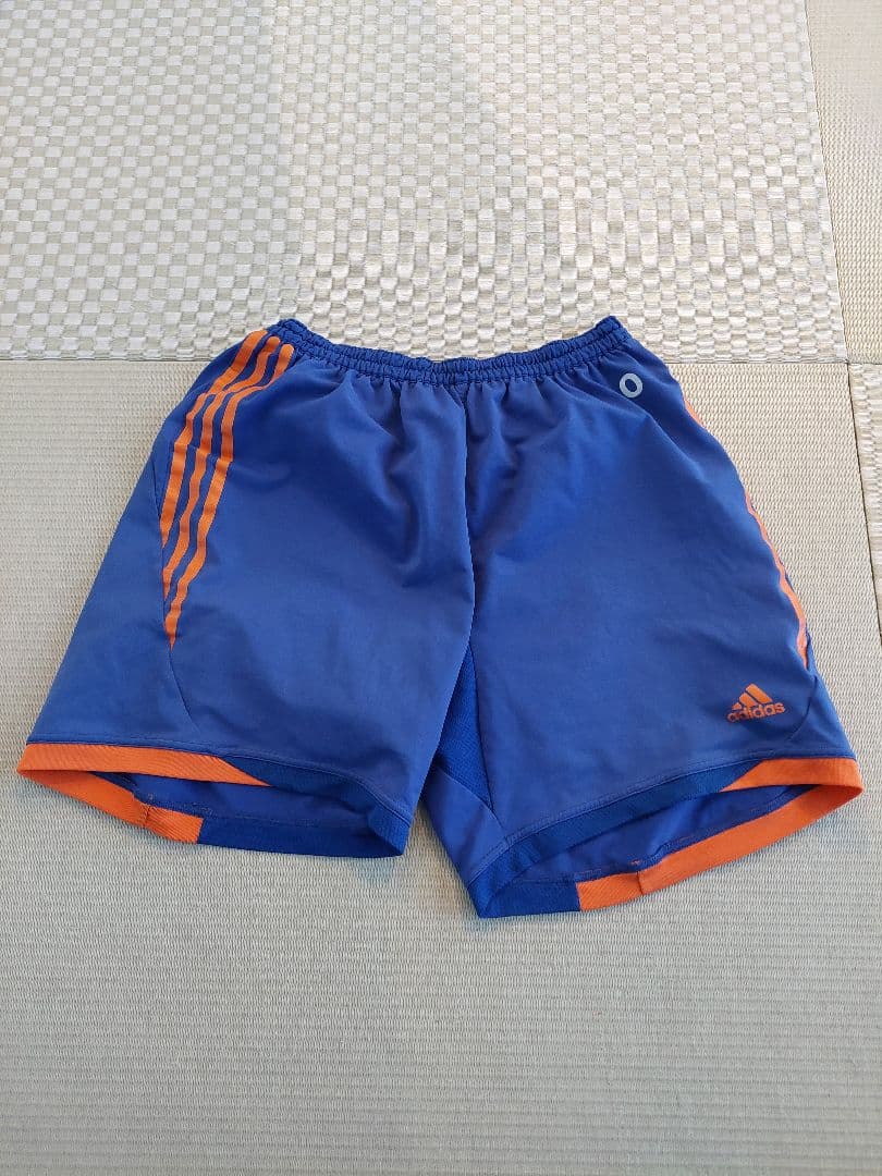 アルビレックス新潟上下