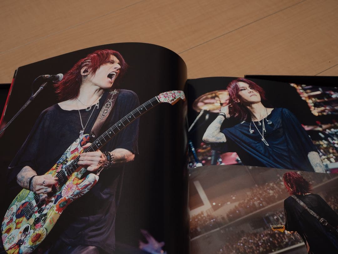 LUNA SEA MOTHER FC限定 PREMIUM BOX B